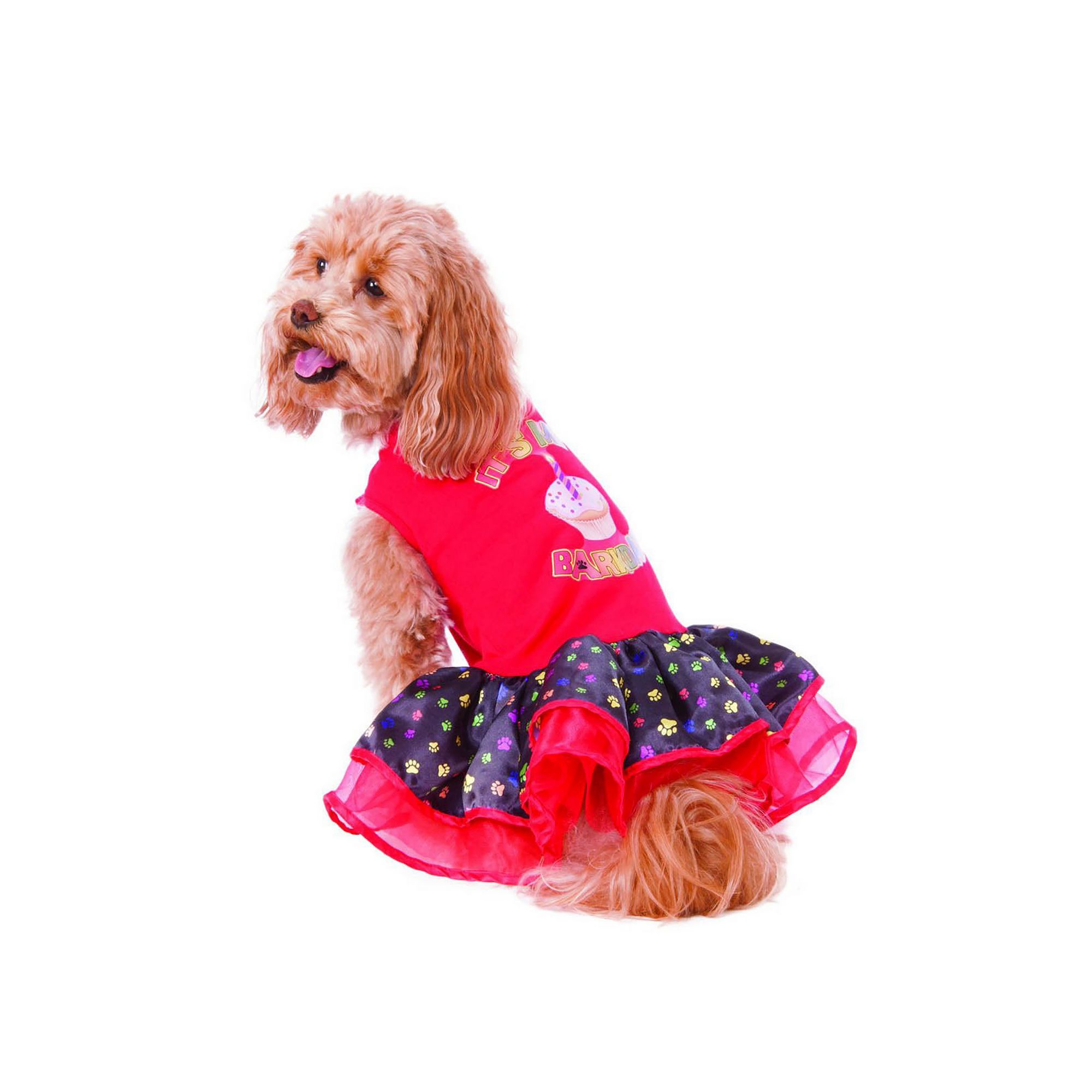 Barkday Tutu Dress Pet Costume
