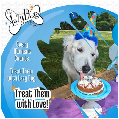 The Lazy Dog Cookie Co. Original Pup Pie Happy Birthday Pie Shaped Treat for A Charming Boy