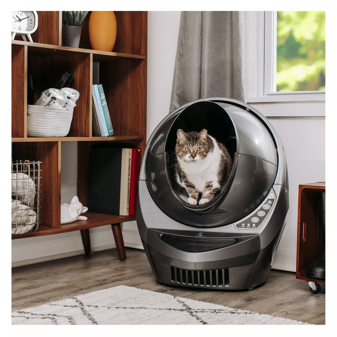 Litter robot cat box best sale