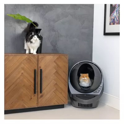 Petsmart automatic litter box best sale