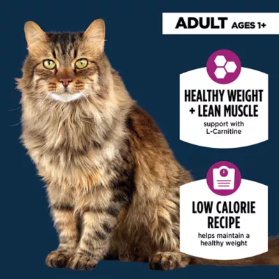 Product Authority Healthy Weight Adult Cat Food - Chicken & Rice