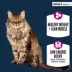 Authority Healthy Weight Adult Cat Food - Chicken & Rice image thumbnail 2