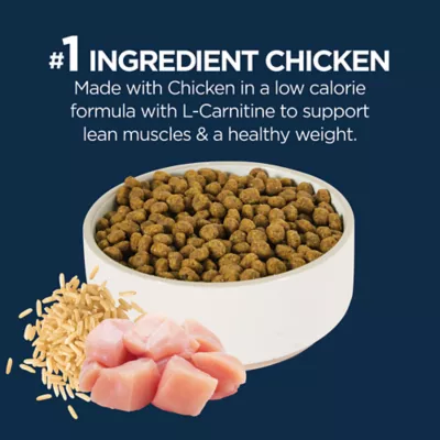 Product Authority Healthy Weight Adult Cat Food - Chicken & Rice