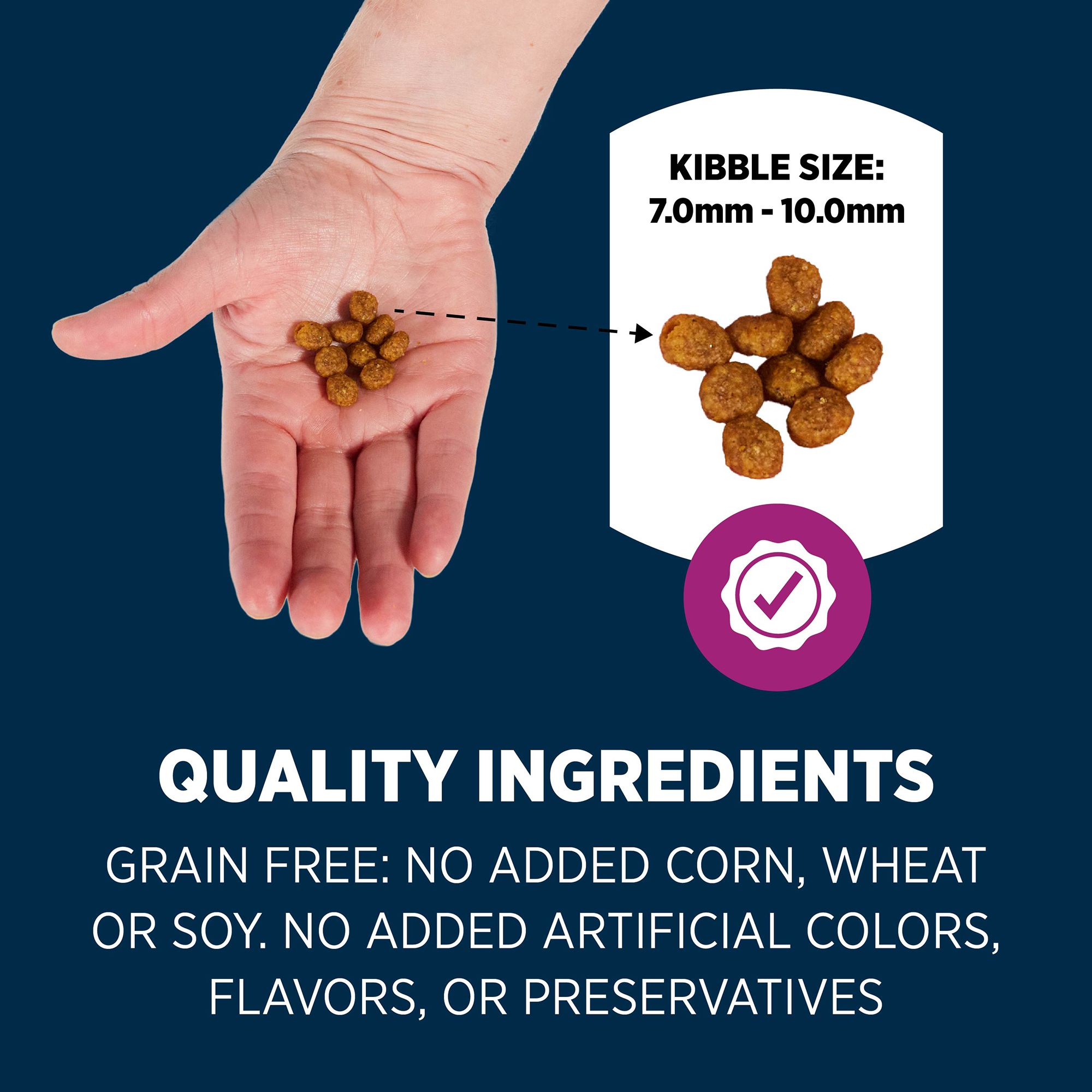 Authority grain free cat food best sale