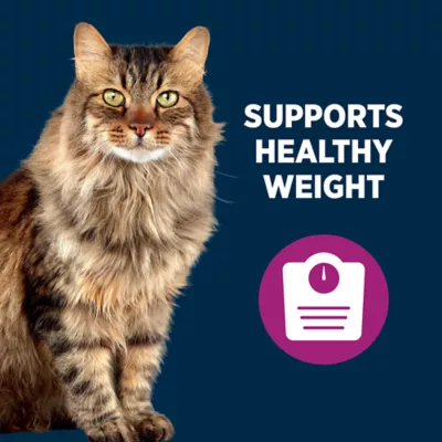 Product Authority Healthy Weight Adult Cat Food - Chicken & Rice