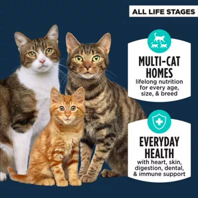 Product Authority® Everyday Health All Life Stages Dry Cat Food - Chicken, Rice & Turkey, With-Grain