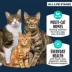 Authority® Everyday Health All Life Stages Dry Cat Food - Chicken, Rice & Turkey, With-Grain image thumbnail 2