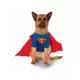 Product Rubie's Pet Shop Halloween Superman Dog & Cat Costume