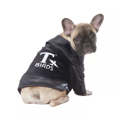 Rubie's Pet Shop Halloween Grease T-Birds Jacket Dog & Cat Costume - Image 1