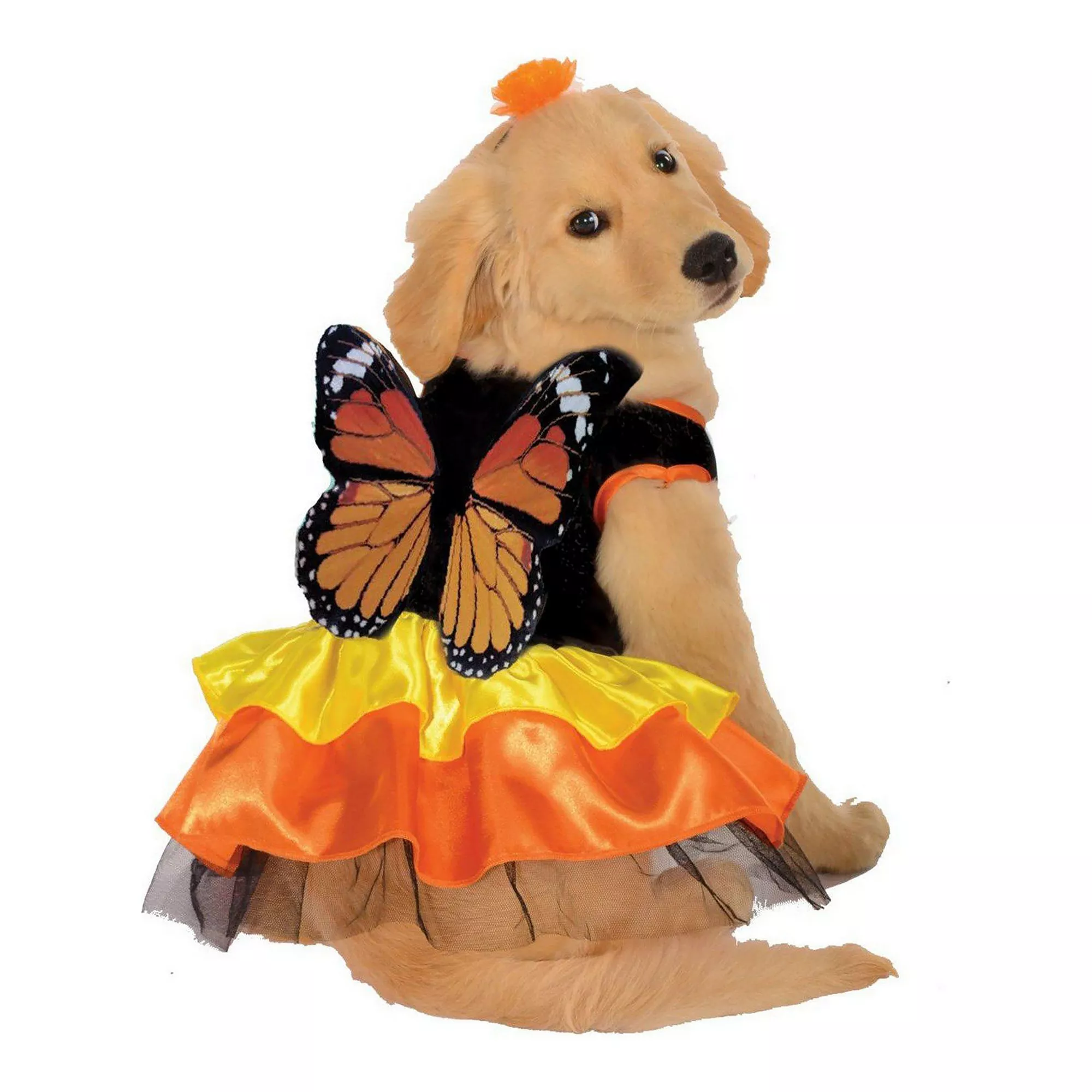 Rubie's Pet Shop Halloween Monarch Butterfly Dog & Cat Costume