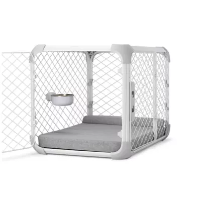 Diggs Bowl - Image 2