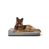 Diggs Crate Mat with Bolster - Dog Kennel Bed image thumbnail 1