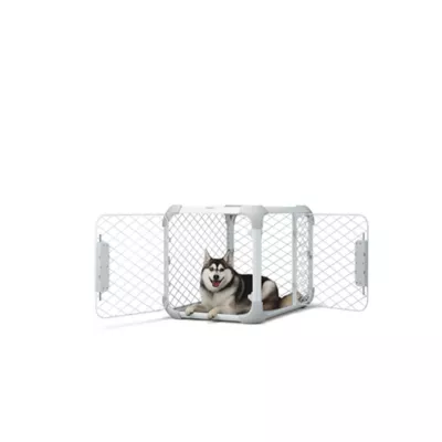 Product Diggs Evolv Dog Crate White