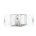 Diggs Evolv Dog Crate White - Durable, Modular, Sleek Design image thumbnail 1