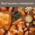 Simply Nourish Dry Puppy Food - Salmon & Brown Rice image thumbnail 2