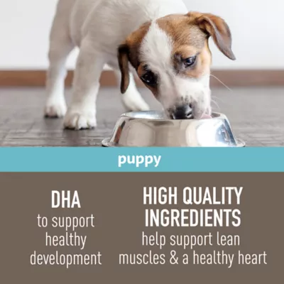 Product Simply Nourish Dry Puppy Food - Salmon & Brown Rice