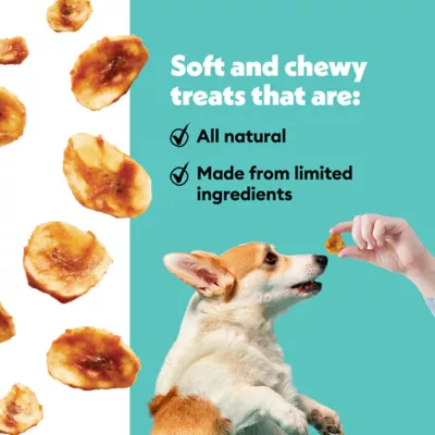 Wiggles & Wags Dipped Slices Banana with Chicken & Peanut Butter - Image 4