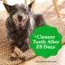 Greenies Weight Management Dog Dental Treats image thumbnail 5
