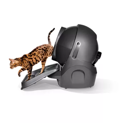 Petsmart litter robot best sale