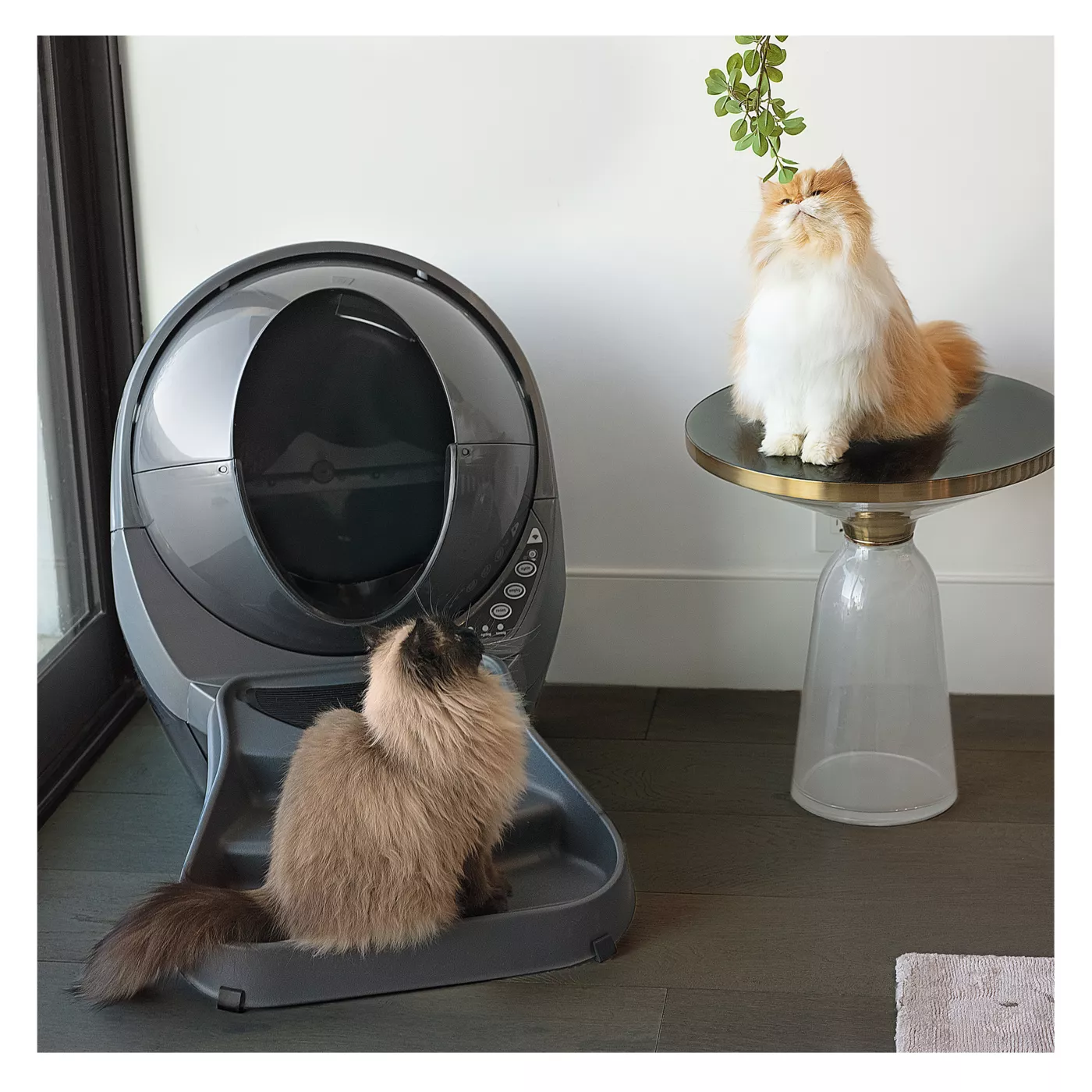 Ramp for Litter Robot 3 by Whisker