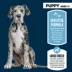 Authority Sensitive Stomach & Skin Large Breed Puppy Dry Dog Food - Salmon & Rice, 34 lb image thumbnail 3