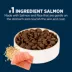 Authority Sensitive Stomach & Skin Large Breed Puppy Dry Dog Food - Salmon & Rice, 34 lb image thumbnail 4