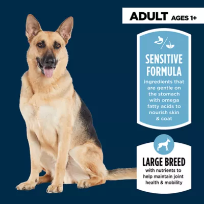 Product Authority Sensitive Stomach & Skin Large Breed Adult Dog Dry Food - Lamb & Rice, 34 lb