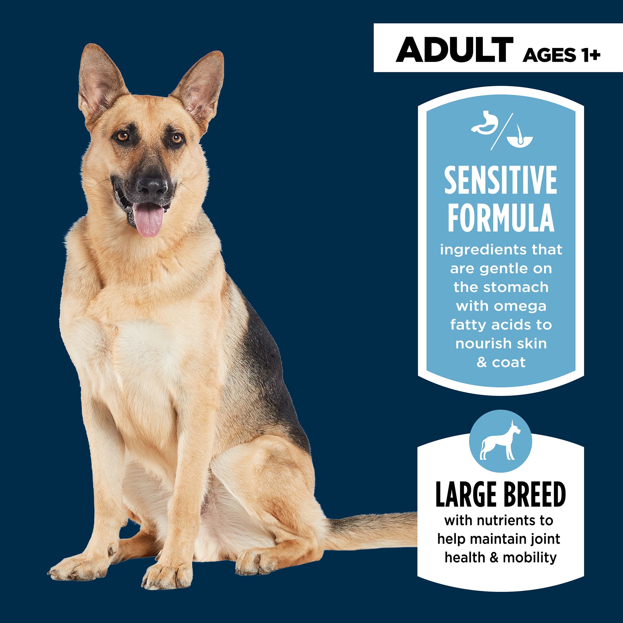 Authority Sensitive Stomach & Skin Large Breed Adult Dog Dry Food - Lamb &  Rice, 34 lb