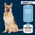 Authority Sensitive Stomach & Skin Large Breed Adult Dog Dry Food - Lamb & Rice, 34 lb image thumbnail 3