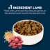 Authority Sensitive Stomach & Skin Large Breed Adult Dog Dry Food - Lamb & Rice, 34 lb image thumbnail 4
