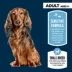 Authority Sensitive Stomach & Skin Small Breed Adult Dog Dry Food Salmon & Rice - 6 LB image thumbnail 3