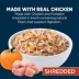 Authority Digestive Support Adult Wet Dog Food - Chicken with Pumpkin, 10 oz image thumbnail 3
