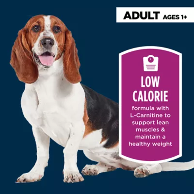 Authority Healthy Weight Adult Dog Dry Food - Chicken & Rice - Image 3