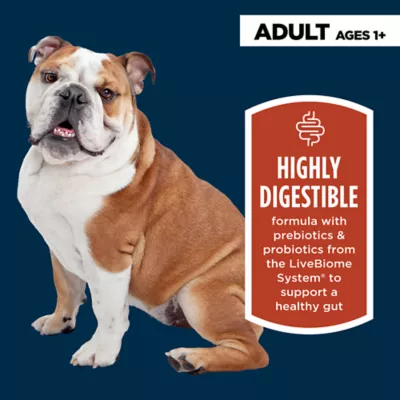 Product Authority Digestive Support Adult Dog Dry Food - Chicken & Rice