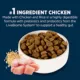 Product Authority Digestive Support Adult Dog Dry Food - Chicken & Rice