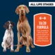 Product Authority High Performance All Life Stages Dry Dog Food - Turkey, Pea, Salmon, & Duck, 30 lb