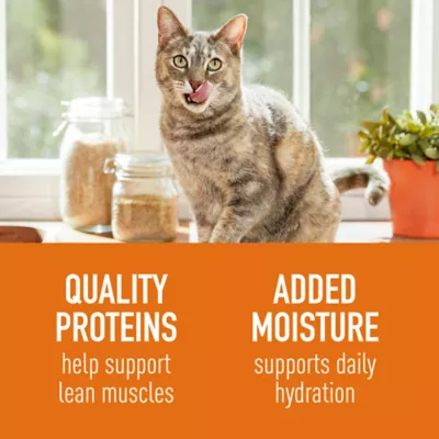 Product Simply Nourish Source Natural Adult Cat Food - Hight Protein, Grain Free, Pate, 3 oz