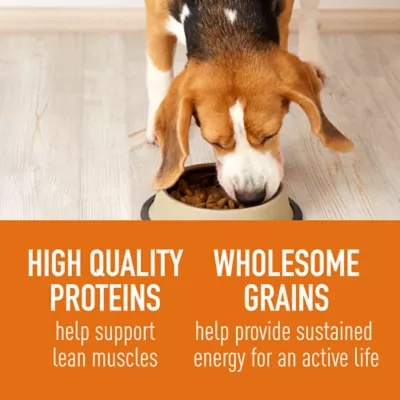 Simply Nourish Source Adult - High Protein, Beef & Grain - Image 3