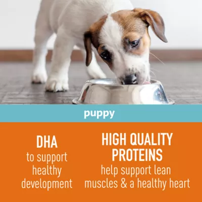 Product Simply Nourish Source Puppy - High Protein, Chicken & Grain