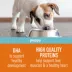 Simply Nourish Source Puppy - High Protein, Chicken & Grain image thumbnail 3