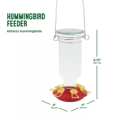 Product All Living Things Wild Bird Hummingbird Feeder