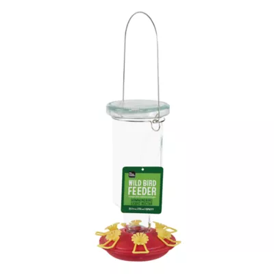 All Living Things Wild Bird Hummingbird Feeder