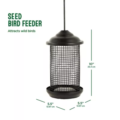 Product All Living Things® Wild Bird Feeder