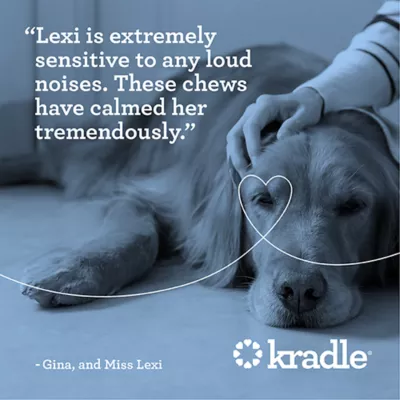 Kradle Calming Bliss Bars - 6 Count - Image 9