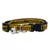 Pets First NCAA Iowa Satin Cat Collar image thumbnail 1