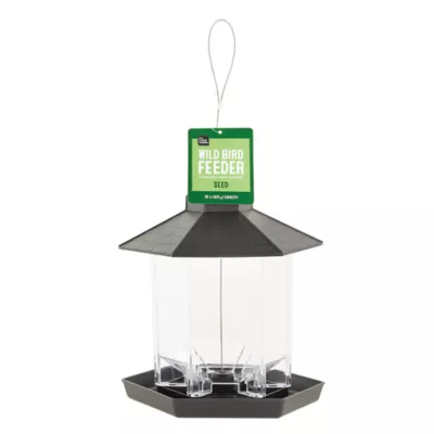 Petsmart bird feeders best sale