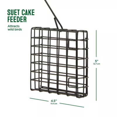 Product All Living Things® Wild Bird Suet Feeder