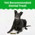 Greenies Aging Care Dog Dental Treats image thumbnail 2