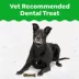 Greenies Aging Care Dog Dental Treats image thumbnail 3