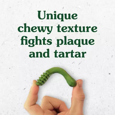 Product Greenies Aging Care Dog Dental Treats
